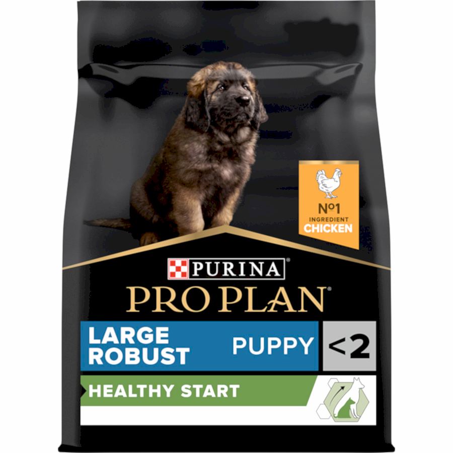 Pro Plan Healthy Start Large Robust Dry Puppy Food Chicken