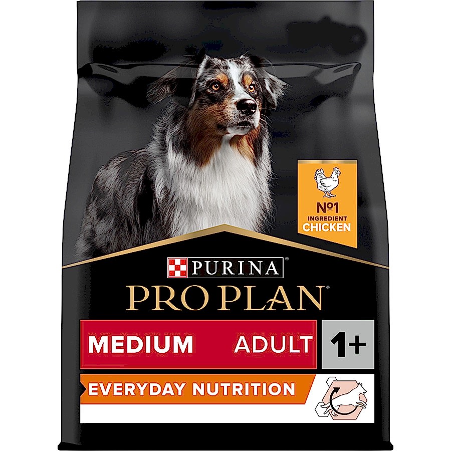 Pro Plan Everyday Nutrition Medium Adult Dry Dog Food Chicken