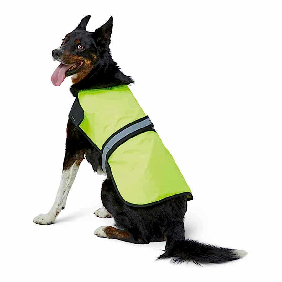 Pets at Home Reflective High Vis Padded Dog Coat