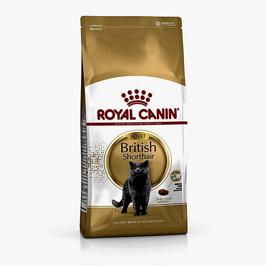 Royal Canin British Shorthair Adult Dry Cat Food