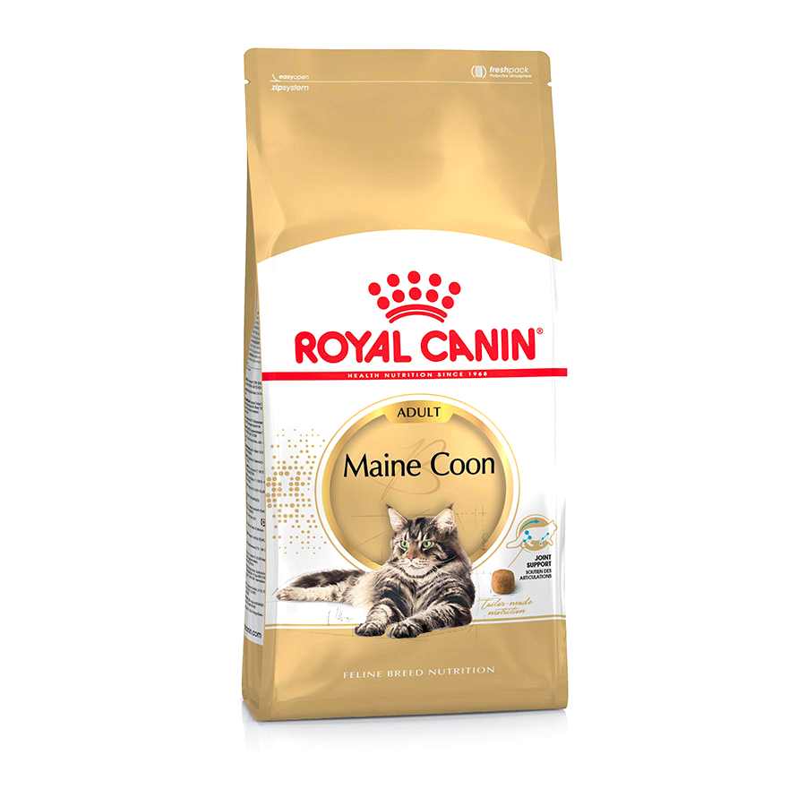 Royal Canin Maine Coon Adult Dry Cat Food