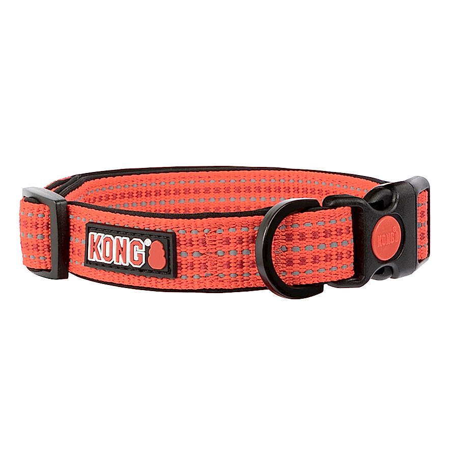 Kong Neoprene Dog Collar Red