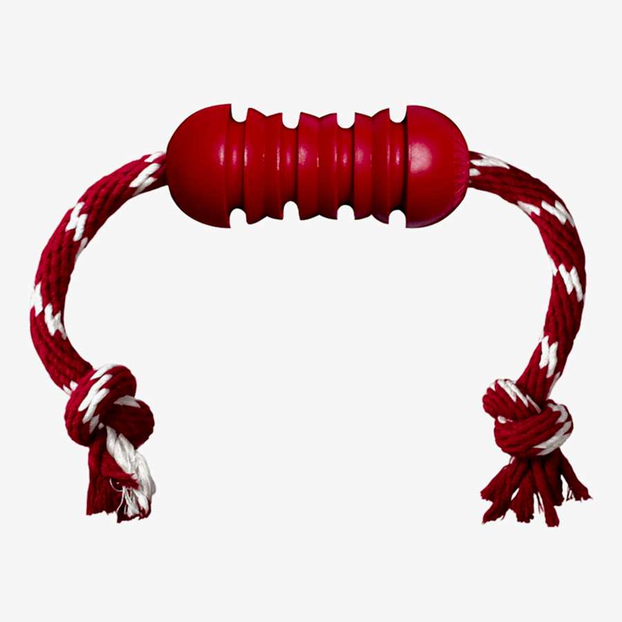 Kong Dental Rubber Dog Toy