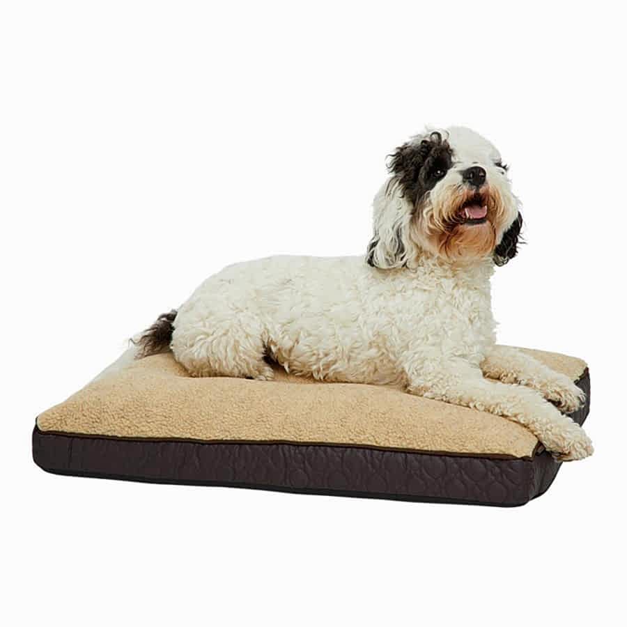 Wainwright's Espresso Dog Mattress Brown