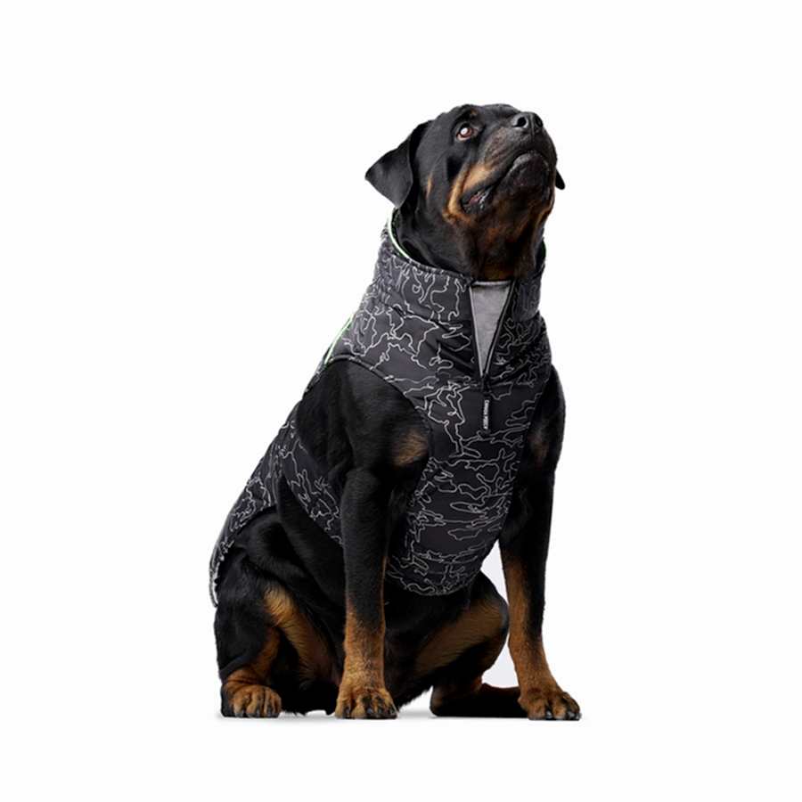 Canada Pooch Expedition Coat 2.0 Dog Coat Black/Metallic