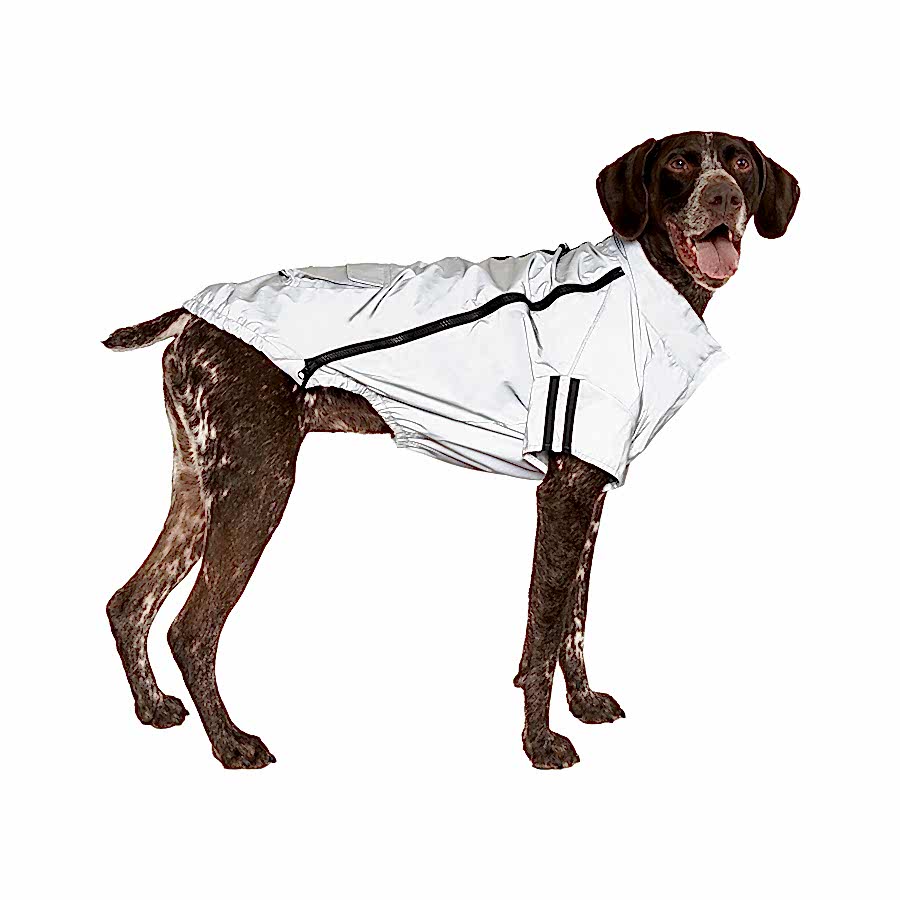 Canada Pooch Night Vision Reflective Jacket Dog Coat Silver