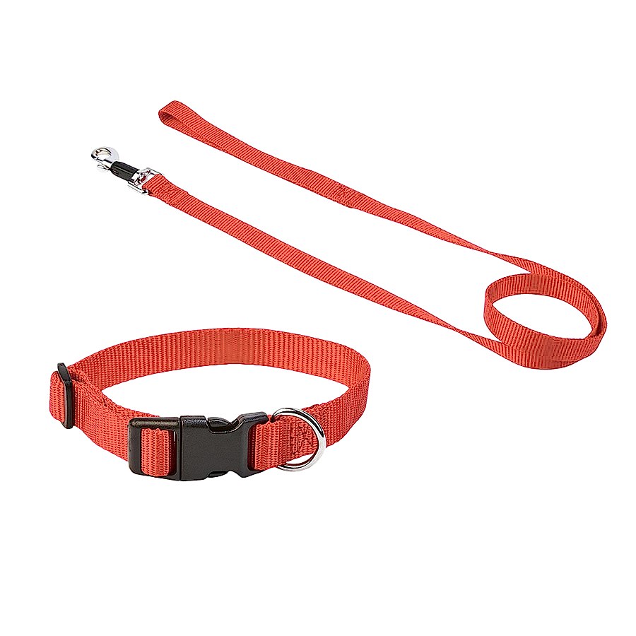 Pets Essentials Dog Collar and Lead Set Red