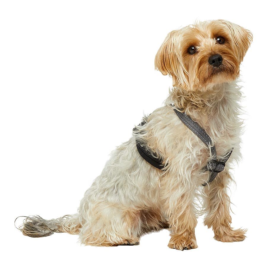 Pets at Home Stop-Pull Dog Harness Grey