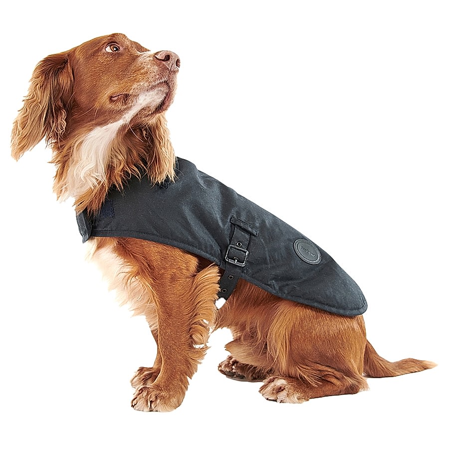 Barbour Dog Wax Coat Blue