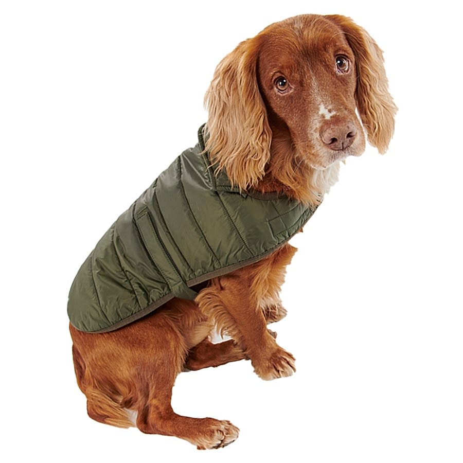 Barbour Baffle Quilted Dog Coat Green