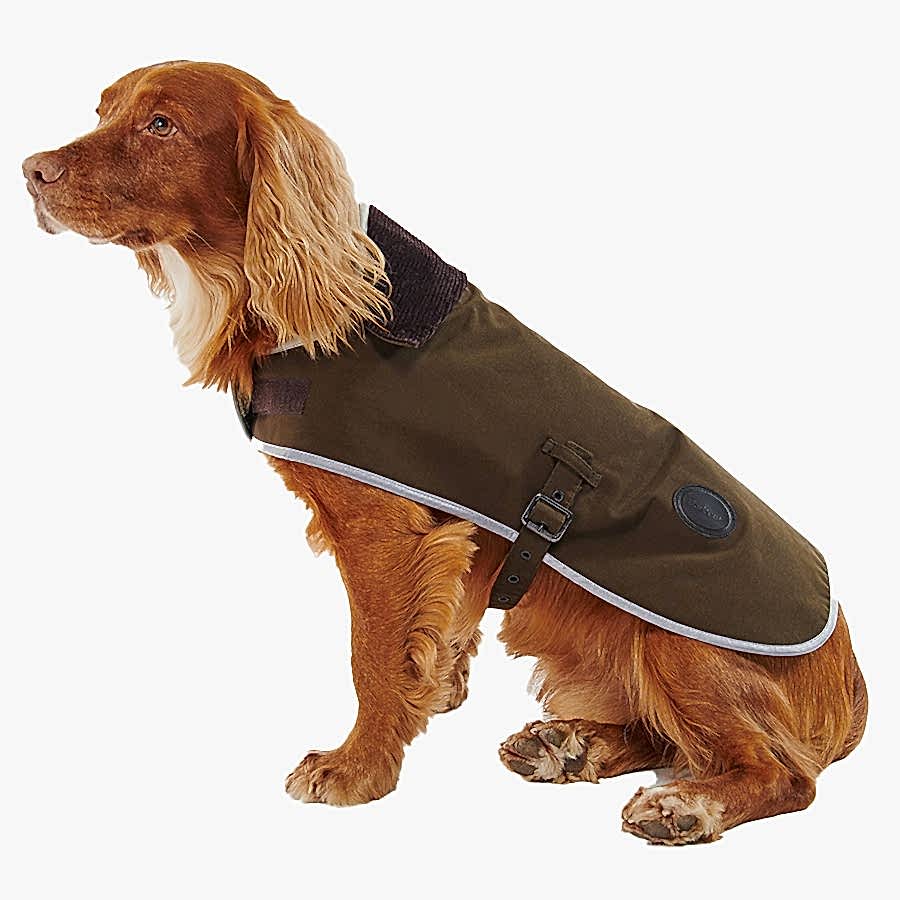 Barbour Waterproof Dog Coat Green