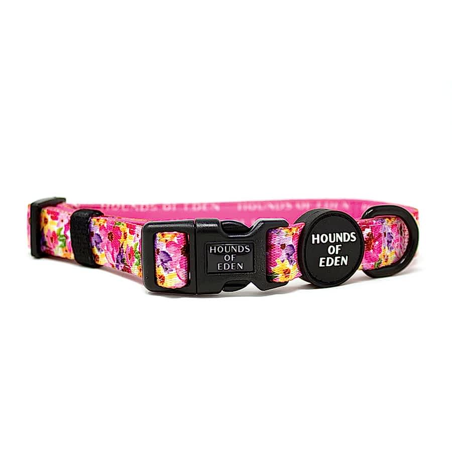 Hounds of Eden Florentina Dog Collar Pink