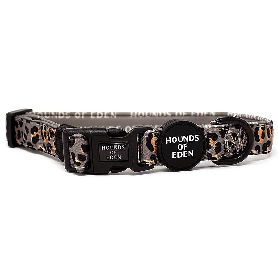 Hounds of Eden Steel Leopard Dog Collar Grey