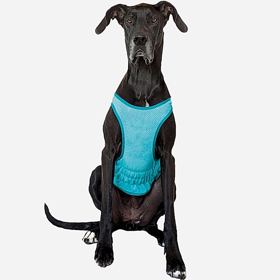 Sunny Daze Elastofit Dog Cooling Vest Blue