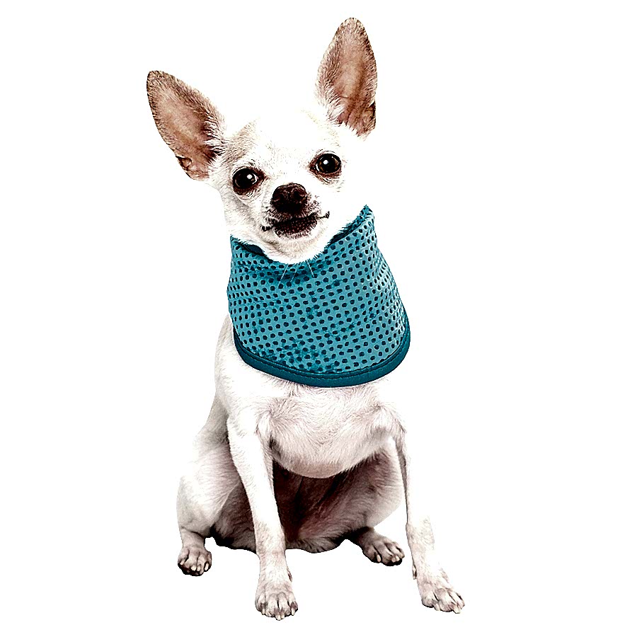 Sunny Daze Cooling Dog Bandana Blue