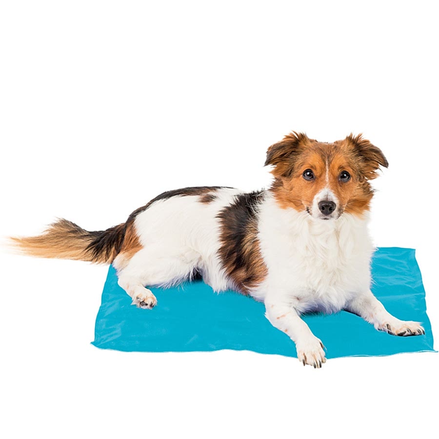 Sunny Daze Cooling Dog Mat Blue