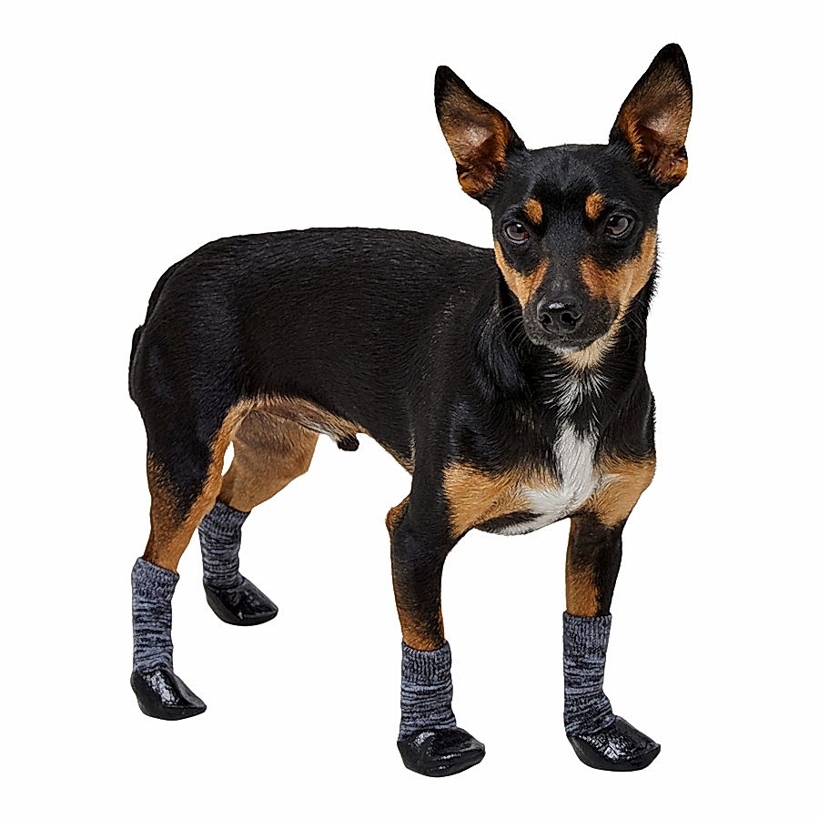 3 Peaks Dog Socks Black