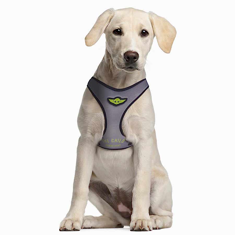 Disney Star Wars The Mandalorian Dog Harness Grey