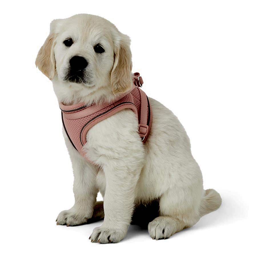 Just For Puppy Harness Pink