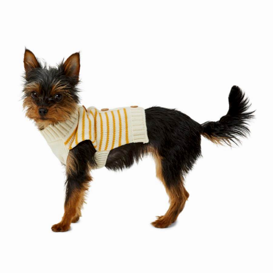 Just For Puppy Stripe Cardigan Cream & Orange