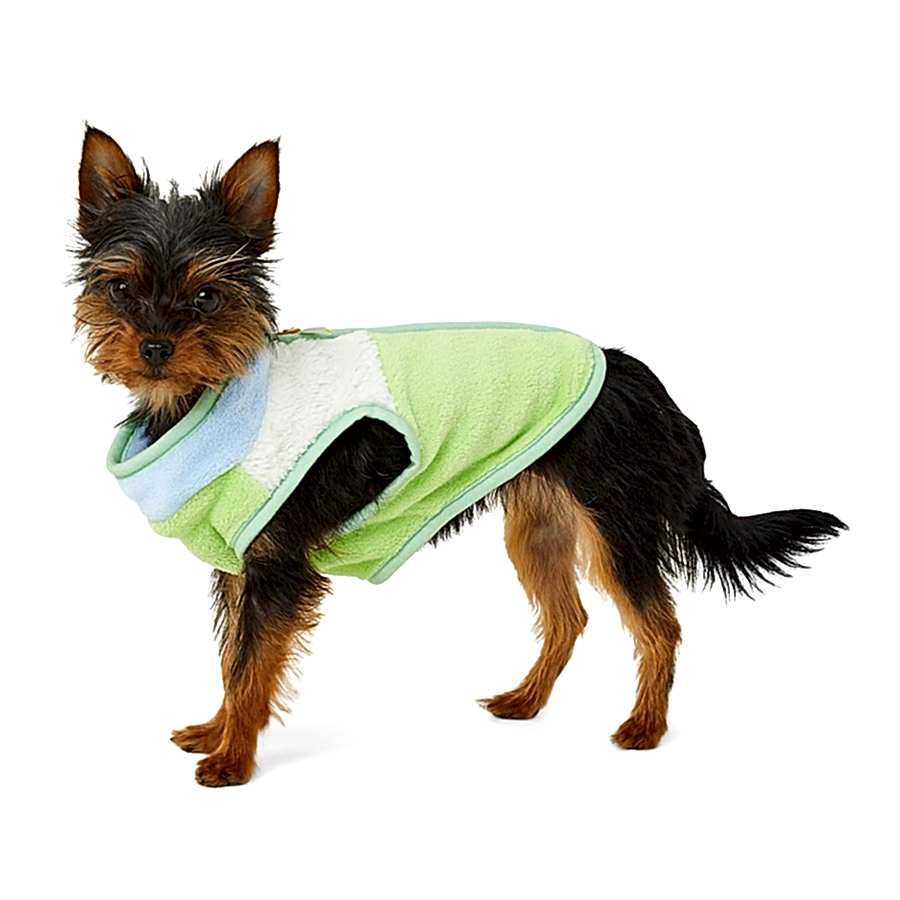 Just For Puppy Colour Block Jacket Green