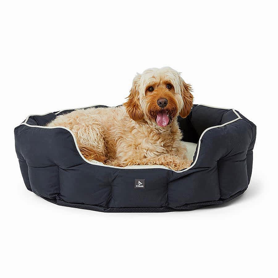 3 Peaks Scalloped Dog Bed Ecru