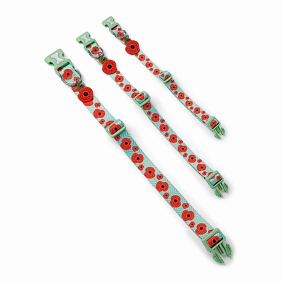 Royal British Legion Dog Collar & Poppy Charm Set