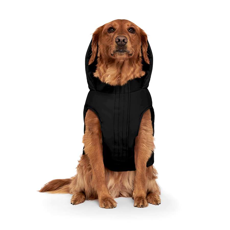 Canada Pooch Waterproof Puffer Dog Jacket Black