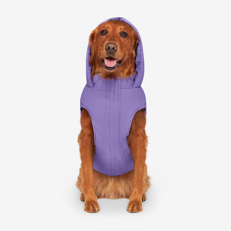 Canada Pooch Waterproof Puffer Dog Jacket Violet