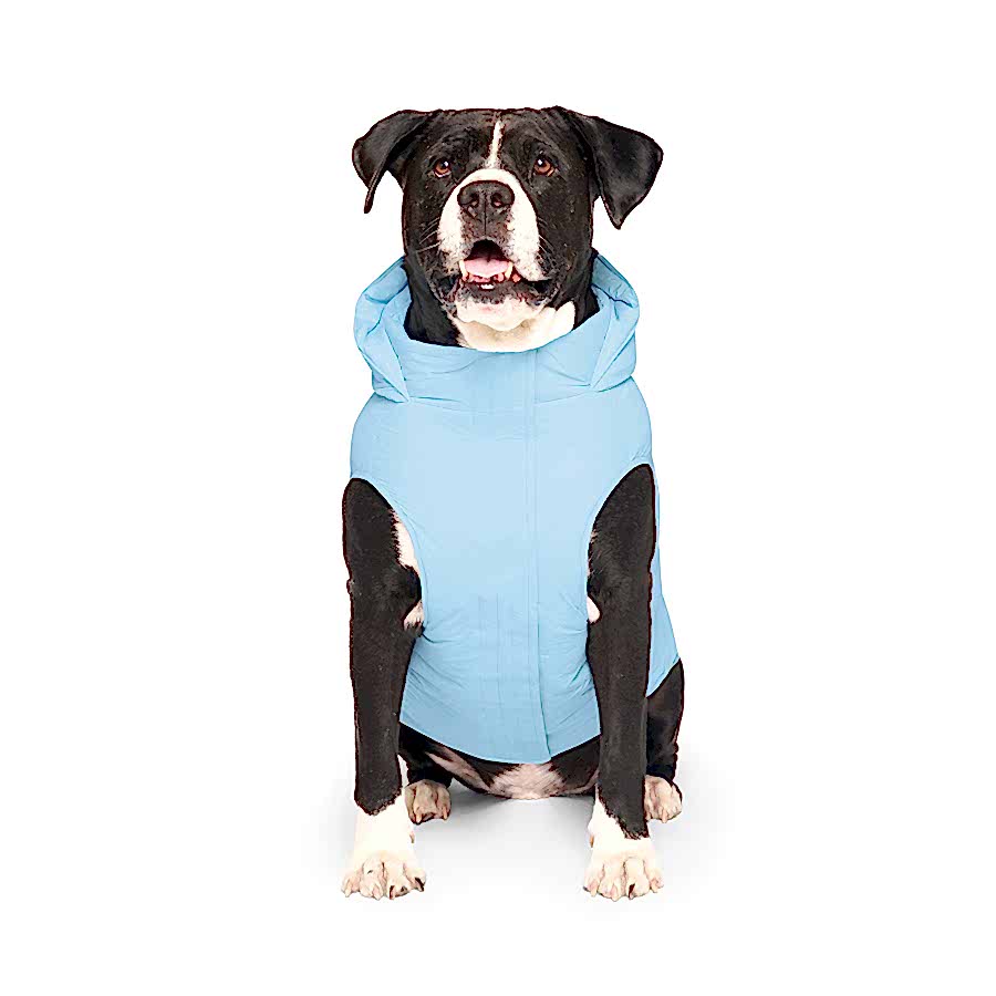 Canada Pooch Waterproof Puffer Dog Jacket Ice Blue