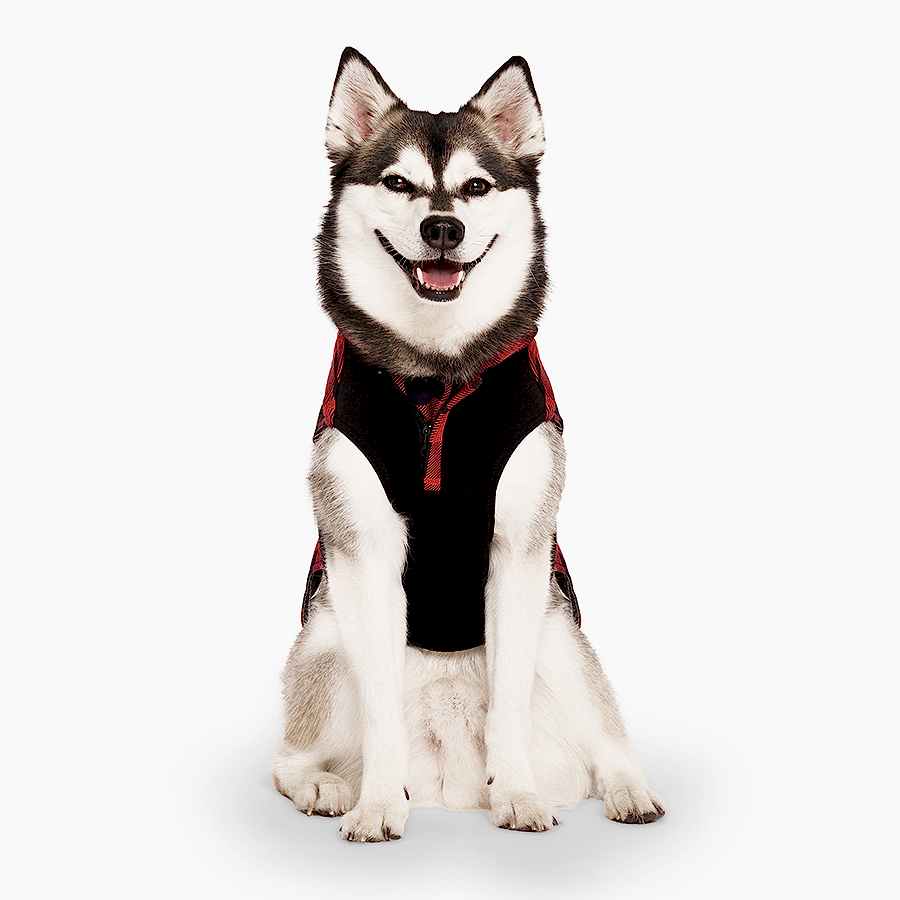 Canada Pooch Thermal Tech Dog Vest Red Plaid