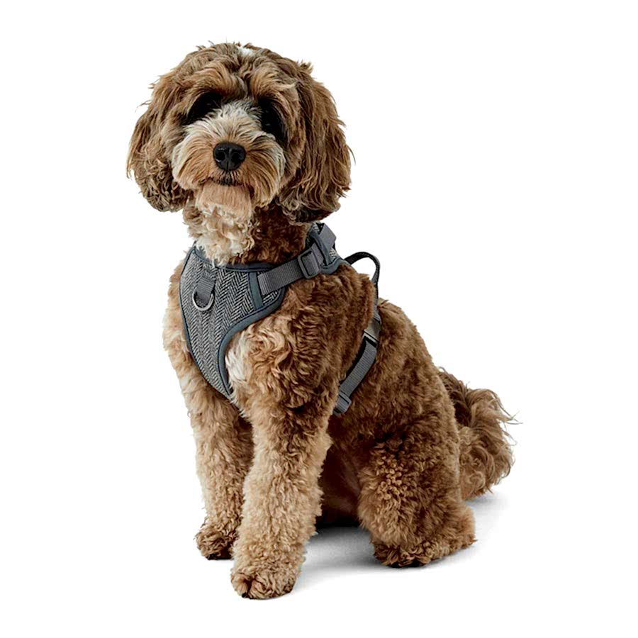 Wainwright's Luxury Woven Herringbone Dog Harness Grey