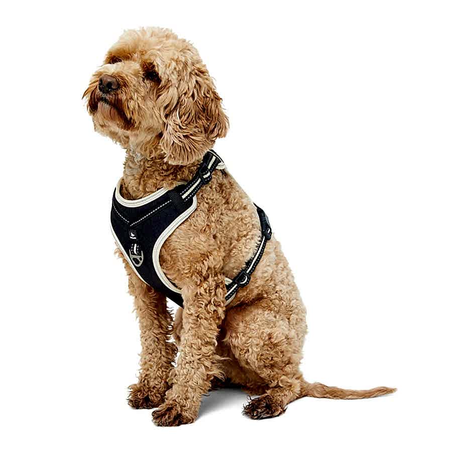 3 Peaks Ascent Dog Harness Ecru