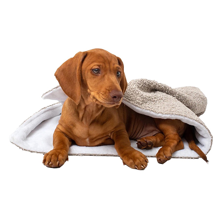 Lords & Labradors Boucle Pet Blanket Mink