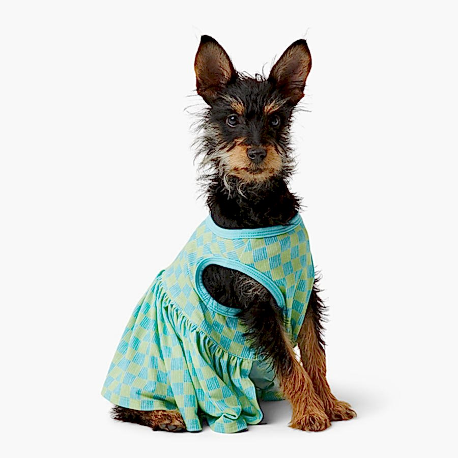 Pets at Home Checkerboard Dog Dress Green