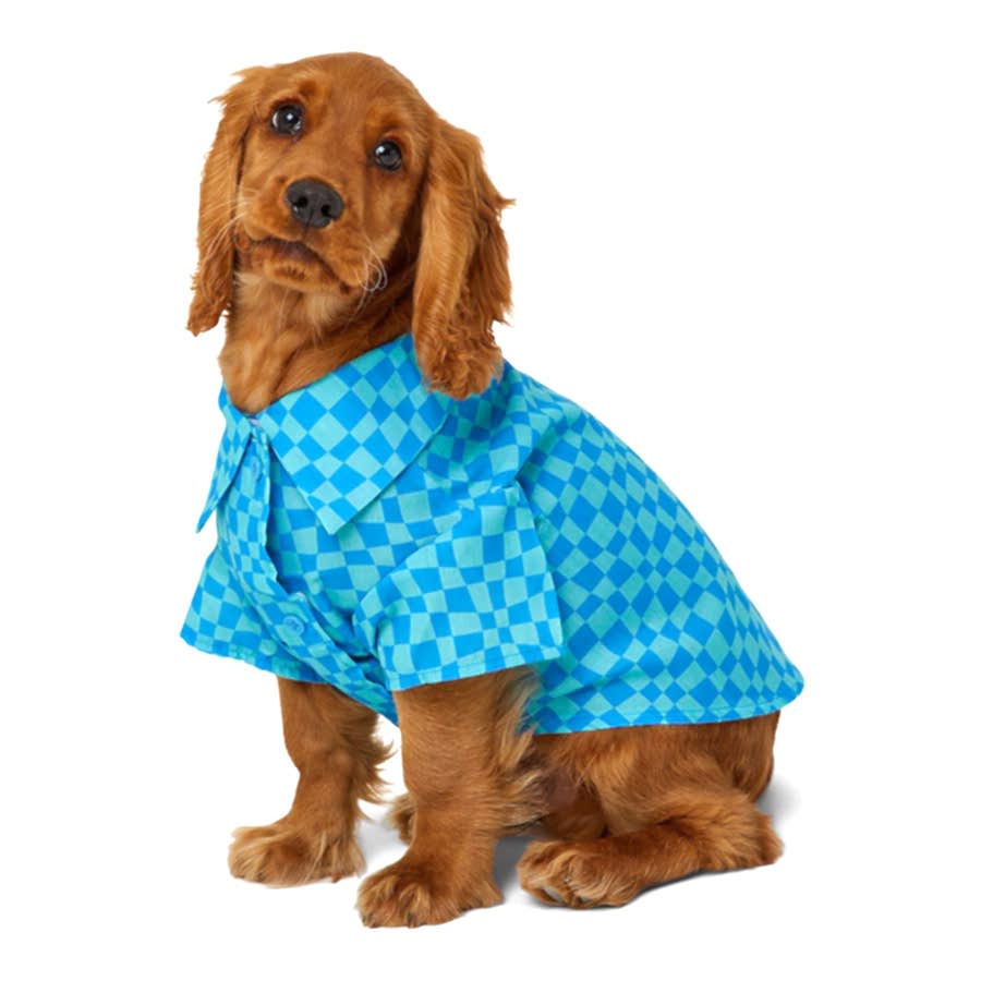 Pets at Home Checkerboard Collared Dog Shirt Blue