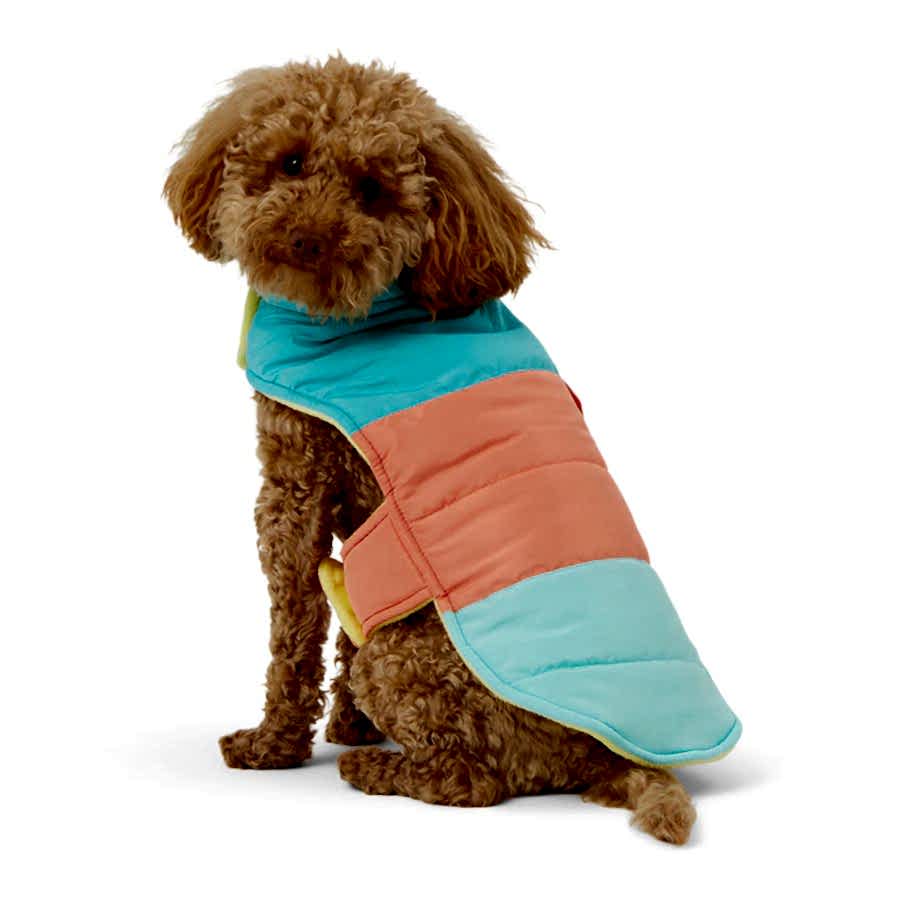 Pets at Home Colour Block Dog Jacket Muti Coloured