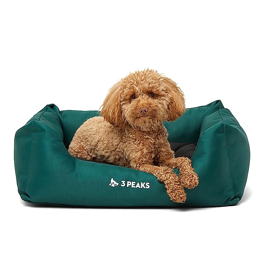 3 Peaks Durable Square Dog Bed Green