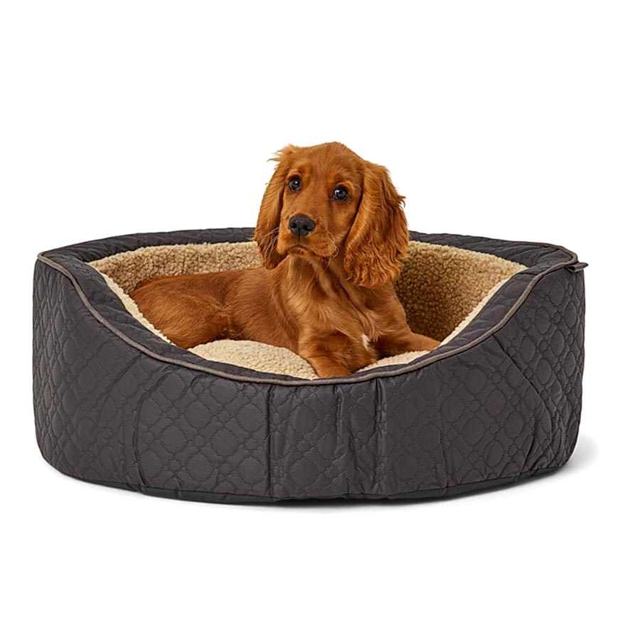 Wainwright's Extra Support Quilted Oval Dog Bed Espresso