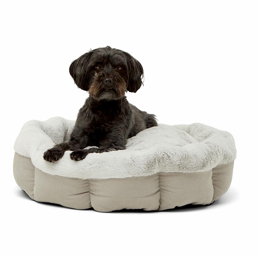 Noble Memory Foam Scalloped Donut Dog Bed Biscuit