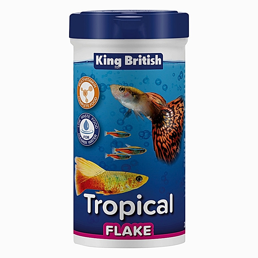 King British Tropical Fish Flake Food