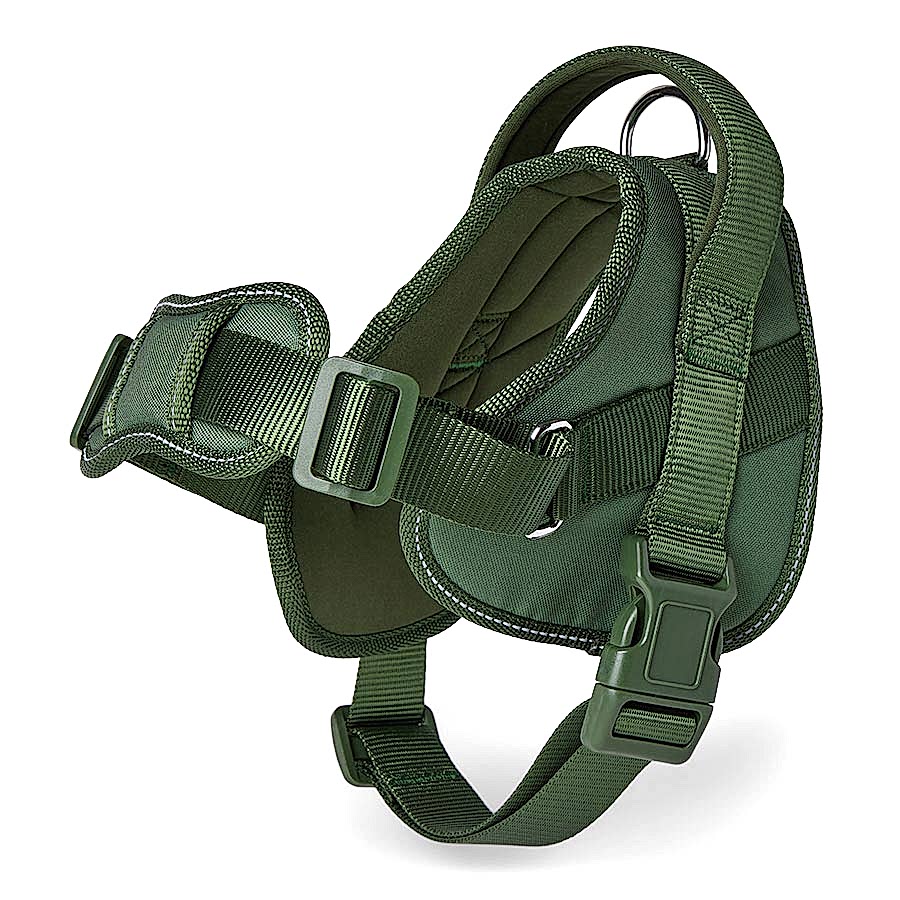 Pets at Home Explorer Dog Harness Green