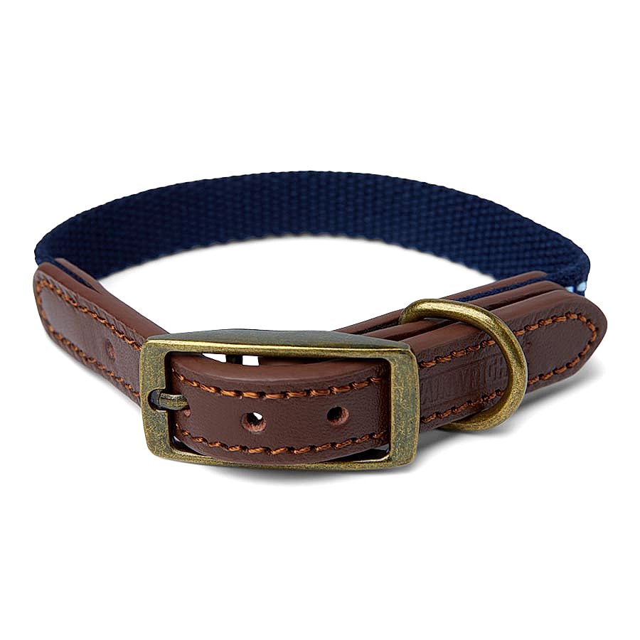 Wainwright's Leather Trim Dog Collar Navy