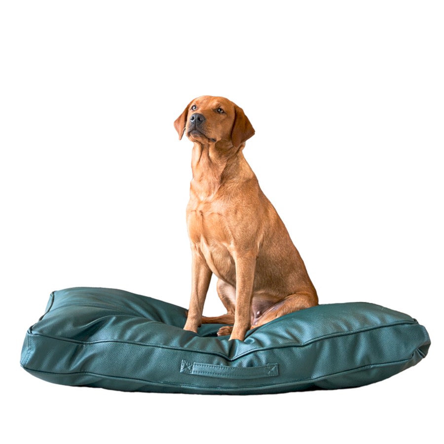 Lords & Labradors Rhino Leather Cushion Dog Bed Forest Green