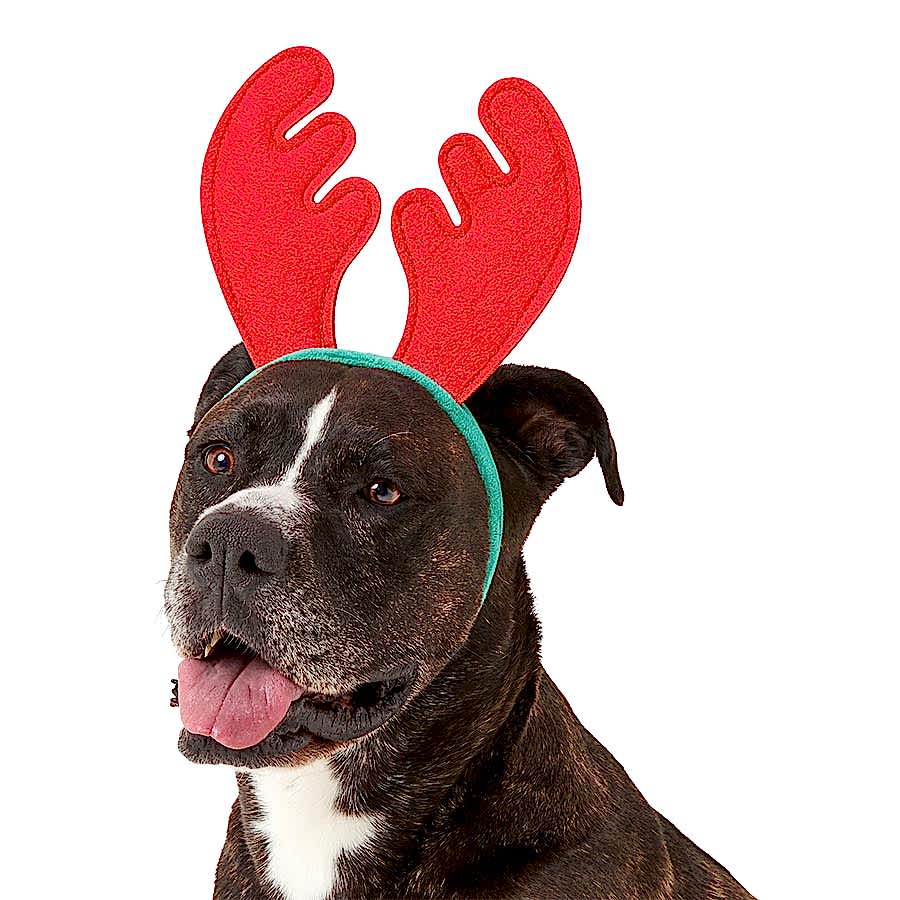 Pets at Home Christmas Felt Antler Dog Headpiece Red