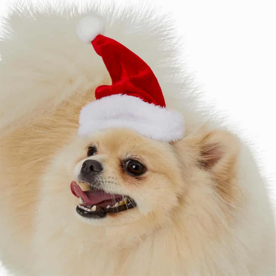 Pets at Home Christmas Dog Santa Hat Red