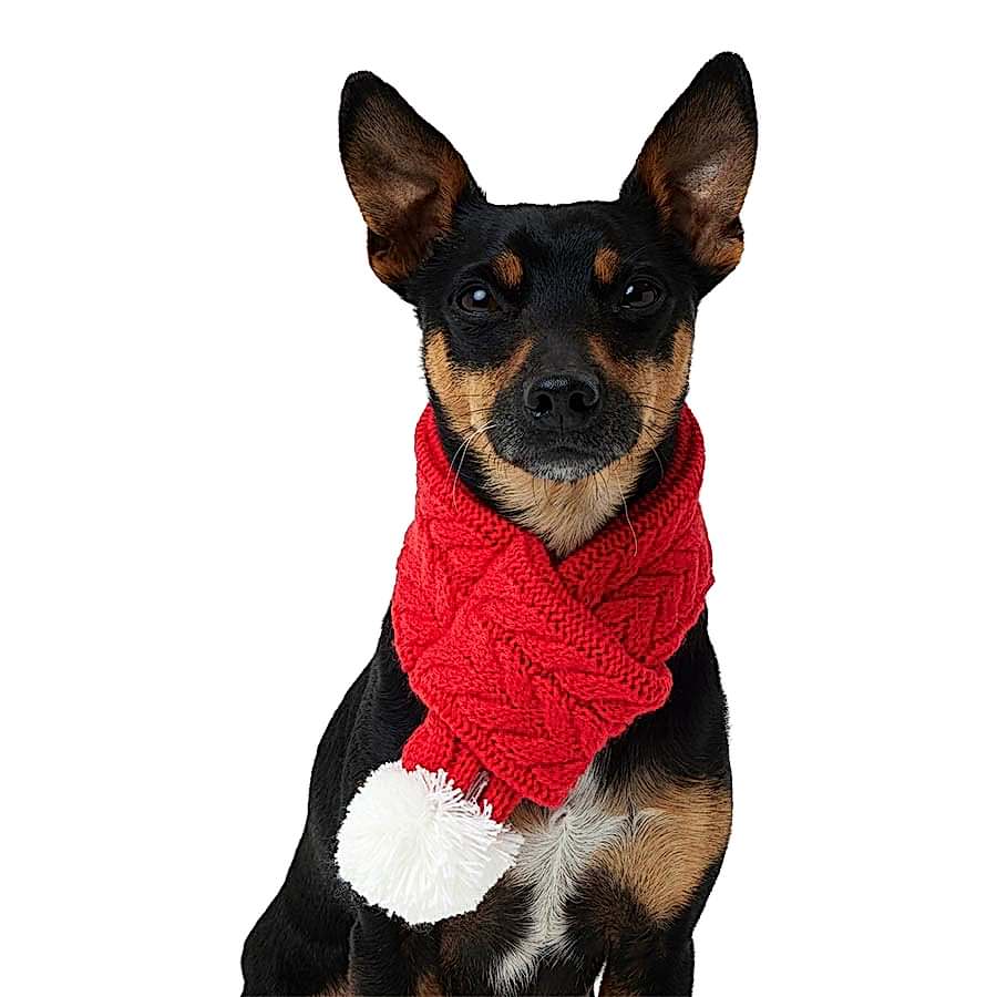 Pets at Home Christmas Dog Cable Scarf Red