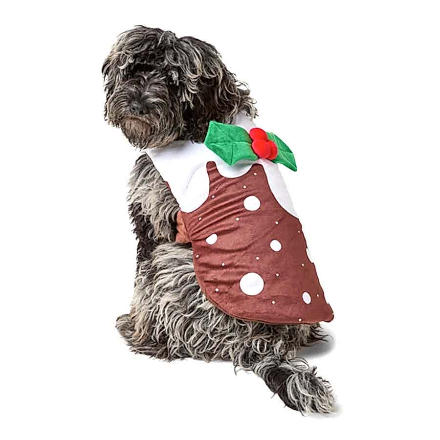 Pets at Home Christmas Pudding Dog Dress Up Brown