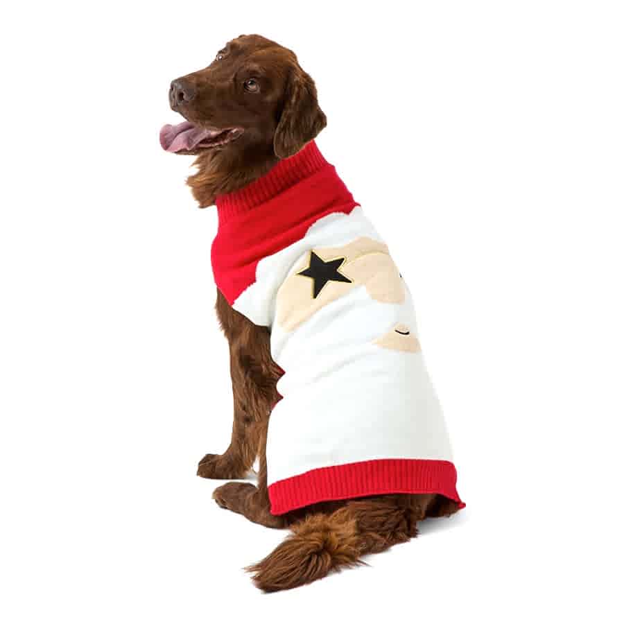 Pets at Home Christmas Starstruck Santa Dog Jumper Red