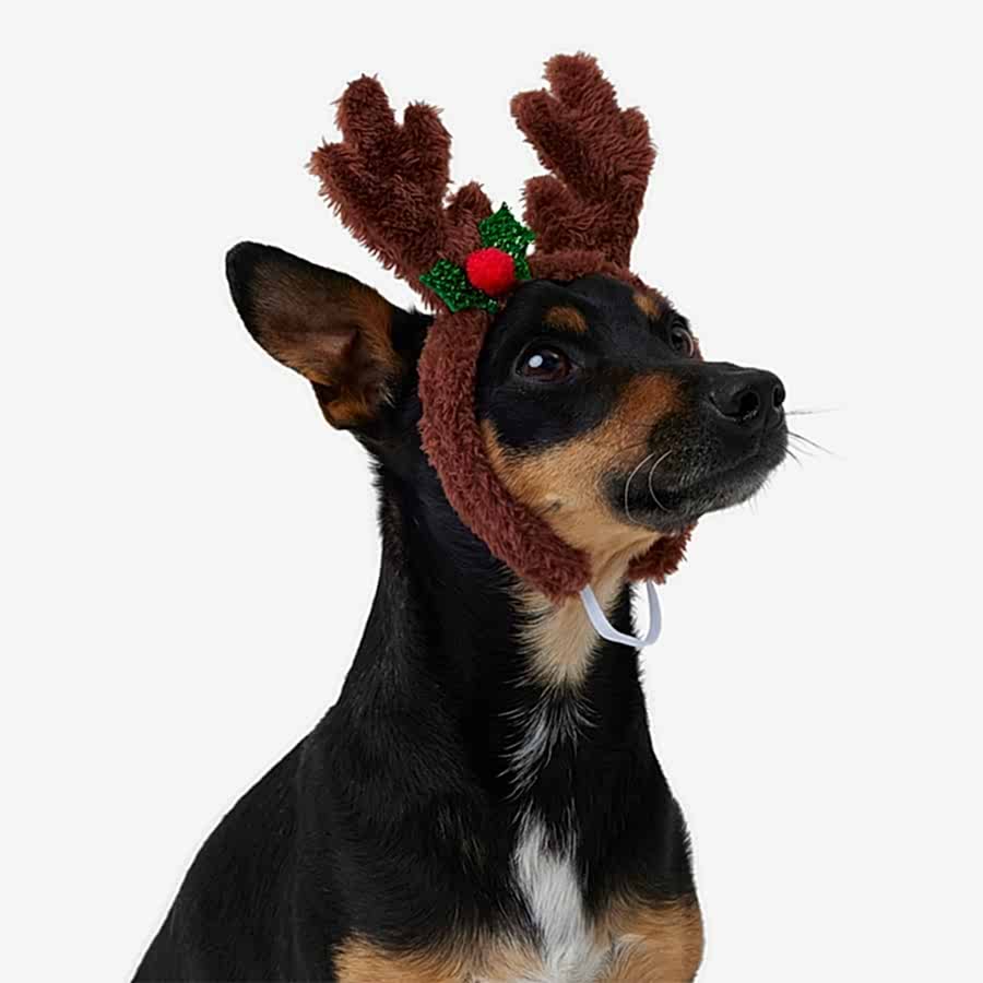 Pets at Home Christmas Plush Sparkle Antler Dog Headpiece Brown